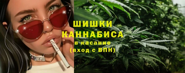 соль ск Липки