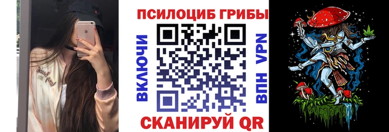 Псилоцибиновые грибы мицелий shop наркотические препараты Кольчугино