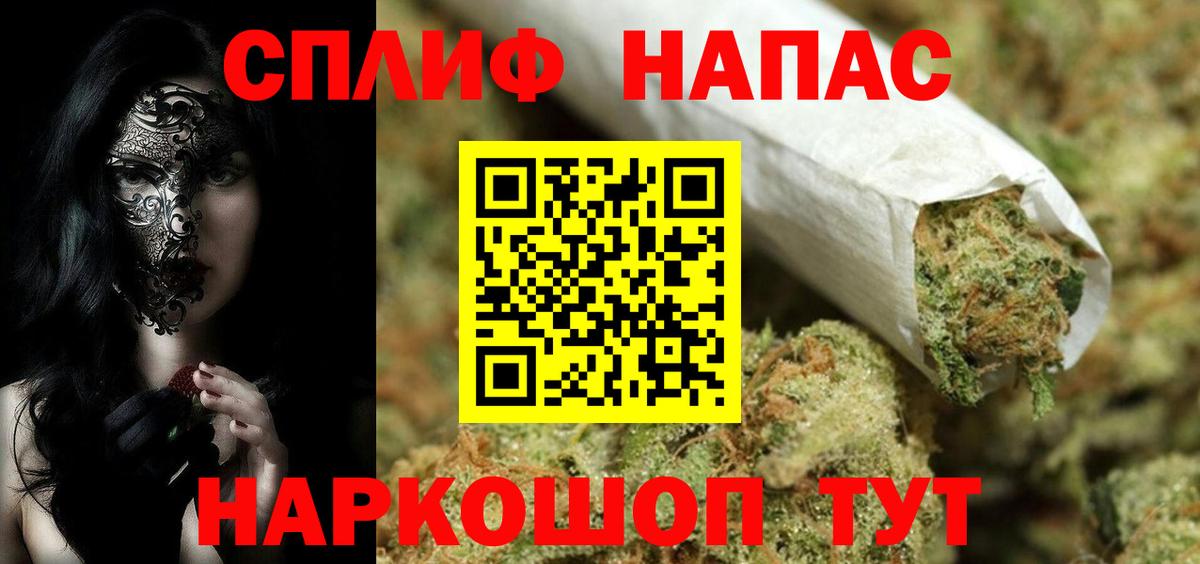Конопля планчик Кольчугино